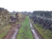 Green Lane near Carlesmoor House Farm (C) Chris Heaton :: Geograph Britain and Ireland Green Lane near Carlesmoor House Farm (C)... 
