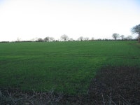 Field near Jacks Hatch © Andrew Dann cc-by-sa/2.0 :: Geograph Britain and Ireland Field near Jacks Hatch &copy; Andrew Dann cc... 