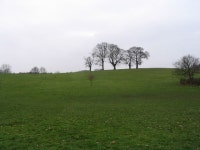 Hillyfields © Andrew Dann cc-by-sa/2.0 :: Geograph Britain and Ireland Hillyfields &copy; Andrew Dann cc-by-sa/2.0