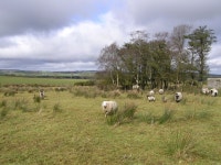 Drumclamph Townland (C) Kenneth  Allen :: Geograph Britain and Ireland Drumclamph Townland (C) Kenneth  Allen