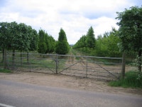 Tree nursery, Southill, Beds (C) Rodney Burton :: Geograph Britain and Ireland Tree nursery, Southill, Beds (C) Rodney Burton