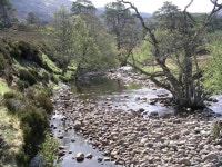 Allt Garbh, near Loch Affric © Chris Eilbeck :: Geograph Britain and Ireland Allt Garbh, near Loch Affric &copy; Chris Eilbeck