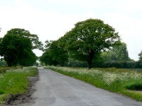 Country Road from the Great West Wood © Roger Gilbertson :: Geograph Britain and Ireland Country Road from the Great West Wood... 