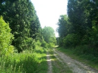 Sussex Border Path near Stubbs Copse © Keith Rose :: Geograph Britain and Ireland Sussex Border Path near Stubbs Copse... 