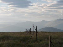 Old fence-posts, Ben Ledi ridge © Andrew Smith cc-by-sa/2.0 :: Geograph Britain and Ireland Old fence-posts, Ben Ledi ridge... 