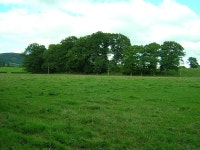 Bank of Trees © Iain Thompson :: Geograph Britain and Ireland Bank of Trees &copy; Iain Thompson