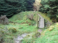 Highlandmans Wood - Glen Fruin track,... © william craig :: Geograph Britain and Ireland Highlandmans Wood - Glen Fruin track... 