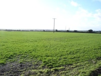 Field on Chapel Down Farm © Toby cc-by-sa/2.0 :: Geograph Britain and Ireland Field on Chapel Down Farm &copy; Toby cc-by-sa/2.0