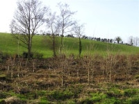 Aghingowley Townland (C) Kenneth  Allen :: Geograph Britain and Ireland Aghingowley Townland (C) Kenneth  Allen
