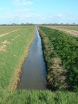Land Drain off New Road © David Prestidge cc-by-sa/2.0 :: Geograph Britain and Ireland Land Drain off New Road &copy; David... 