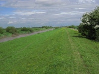 Dutch River © Oxana Maher cc-by-sa/2.0 :: Geograph Britain and Ireland Dutch River &copy; Oxana Maher cc-by-sa/2.0