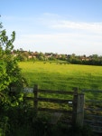Field and edge of village, Steeple... © Andy Gryce cc-by-sa/2.0 :: Geograph Britain and Ireland Field and edge of village... 