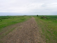 Dismantled Railway © Simon Carey cc-by-sa/2.0 :: Geograph Britain and Ireland Dismantled Railway &copy; Simon Carey cc-by-sa/2.0