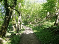 Footpath south of Castle Combe © Graham Horn cc-by-sa/2.0 :: Geograph Britain and Ireland Footpath south of Castle Combe... 