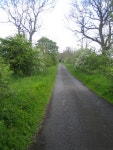 Lane near Well House Farm, Harbottle © Andy Gryce cc-by-sa/2.0 :: Geograph Britain and Ireland Lane near Well House Farm... 
