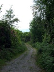 Forestry path from Derrynagran to Lough... © Liz McCabe cc-by-sa/2.0 :: Geograph Britain and Ireland Forestry path from... 