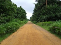 Harling Drove © Keith Evans cc-by-sa/2.0 :: Geograph Britain and Ireland Harling Drove &copy; Keith Evans cc-by-sa/2.0