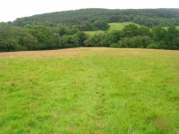 Dallington Forest © Simon Carey :: Geograph Britain and Ireland Dallington Forest &copy; Simon Carey