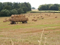 Fields of Nantcribba Farm (C) Ian Francis :: Geograph Britain and Ireland Fields of Nantcribba Farm (C) Ian Francis