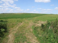 Monks Field, Partney © Dave Hitchborne :: Geograph Britain and Ireland Monks Field, Partney &copy; Dave Hitchborne