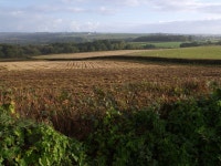 View from Friars Hele Cross © Derek Harper :: Geograph Britain and Ireland View from Friars Hele Cross &copy; Derek Harper