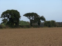 Field boundary © Evelyn Simak :: Geograph Britain and Ireland Field boundary &copy; Evelyn Simak