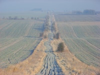 Farm track, Lockinge © Andrew Smith cc-by-sa/2.0 :: Geograph Britain and Ireland Farm track, Lockinge &copy; Andrew Smith cc-by... 