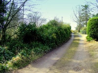 A Track from Longhill to Scotston © Ann Harrison :: Geograph Britain and Ireland A Track  from Longhill to Scotston &copy; Ann... 