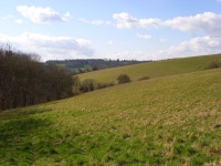 Pasture, Cadmore End © Andrew Smith cc-by-sa/2.0 :: Geograph Britain and Ireland Pasture, Cadmore End &copy; Andrew Smith cc-by... 