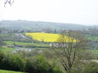 Yellow field (C) HENRY CLARK :: Geograph Britain and Ireland Yellow field (C) HENRY CLARK