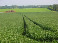 Farmland, Chilton © Andrew Smith cc-by-sa/2.0 :: Geograph Britain and Ireland Farmland, Chilton &copy; Andrew Smith cc-by-sa/2.0