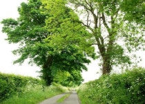 The Springmount Road near Kinallen (2) (C) Albert Bridge :: Geograph Britain and Ireland The Springmount Road near Kinallen (2)... 