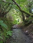 Dark Lane, medieval holloway © michael ely cc-by-sa/2.0 :: Geograph Britain and Ireland Dark Lane, medieval holloway... 