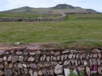Ramsey Island Farmland © MD cc-by-sa/2.0 :: Geograph Britain and Ireland Ramsey Island Farmland &copy; MD cc-by-sa/2.0