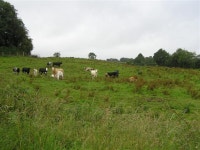 Mullaghmore Townland (C) Kenneth  Allen :: Geograph Britain and Ireland Mullaghmore Townland (C) Kenneth  Allen