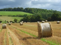 Harvested farmland, Hambleden © Andrew Smith :: Geograph Britain and Ireland Harvested farmland, Hambleden &copy; Andrew Smith