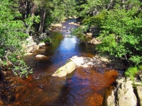 Water of Tanar © Alan Findlay :: Geograph Britain and Ireland Water of Tanar &copy; Alan Findlay