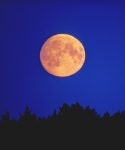 Lunar Phases Affect Horoscope Sign Full Moon In Aries What Does It Really Mean When The Full Moon Is In Your Sign?