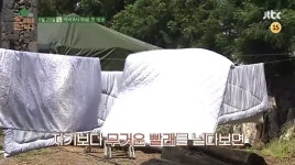 기타 게시판 - 효리네 민박 인물소개 - BATTLEPAGE.COM v12 BATTLEPAGE.COM v12