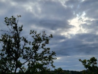 Här & nu måndag 7/10 Medieproduktion | Figma Här & nu måndag 7/10 Medieproduktion | Figma