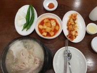 지호한방삼계탕 본사직영점 - 마포 한방삼계탕 맛집 | 다이닝코드, 빅데이터 맛집검색