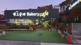 하얀오골계베이커리카페 - 원주 오골계 맛집 | 다이닝코드, 빅데이터 맛집검색