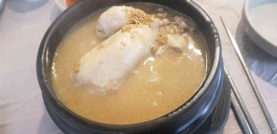 서정동 맛집 - 녹두삼계탕 | 빅데이터 맛집검색, 다이닝코드