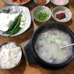 통영 돼지국밥 맛집 - 제래토종국밥 | 빅데이터 맛집검색, 다이닝코드