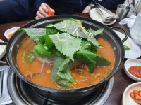 박가네 감자탕 - 광화문 감자탕 맛집 | 다이닝코드, 빅데이터 맛집검색