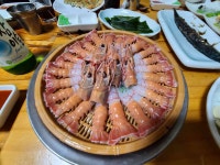 전망좋은횟집 - 성산일출봉 고등어회, 횟집 맛집 | 다이닝코드, 빅데이터 맛집검색
