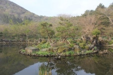 프리야 토픽 iframe영역