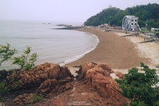 프리야 토픽 iframe영역