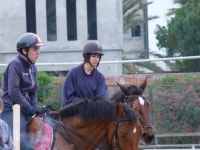 Tunisia  Spurs On  Equestrian  Sports Tunisia Spurs On Equestrian Sports