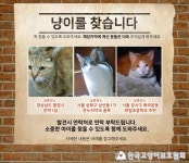 고보협 소식지 - 2018년 첫 소식지